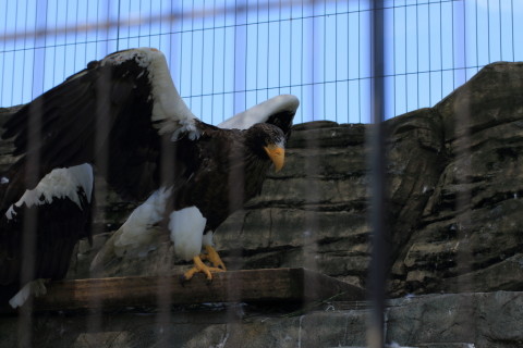 2015/5月 TAMRONsp70-300+7D2 焦点距離84mm F/6.3 ss1/320 ISO100