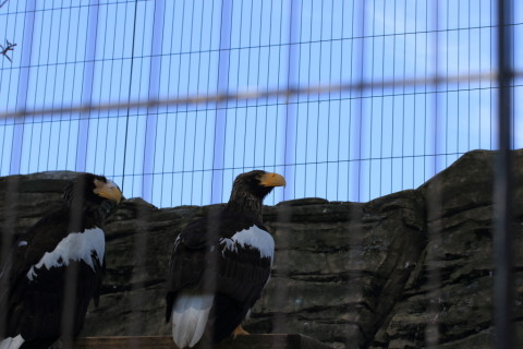 2015/5月 TAMRONsp70-300+7D2 焦点距離70mm F/6.3 ss1/320 ISO100