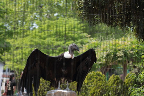 2015/5月 TAMRONsp70-300+7D2 焦点距離119mm F/5 ss1/200 ISO100