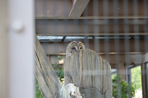 2015/5月 SIGMA17-70+7D2 焦点距離70mm F/4 ss1/100 ISO500