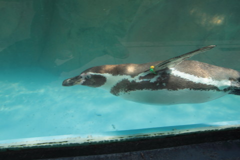 2015/5月 SIGMA17-70+7D2 焦点距離17mm F/8 ss1/250 ISO100