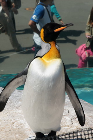 2015/5月 SIGMA17-70+7D2 焦点距離70mm F/7.1 ss1/320 ISO100