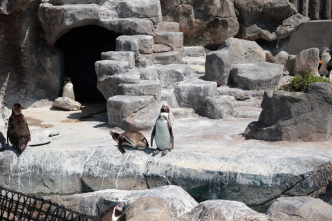 2015/5月 SIGMA17-70+7D2 焦点距離58mm F/8 ss1/400 ISO100