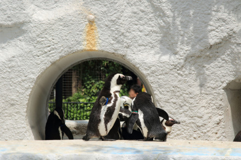 2015/5月 SIGMA17-70+7D2 焦点距離70mm F/7.1 ss1/400 ISO100