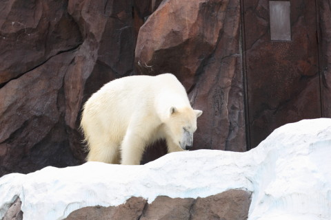 2015/5月 TAMRONsp70-300+7D2 焦点距離119mm F/5 ss1/250 ISO100