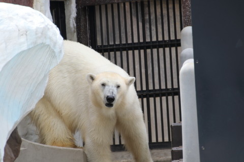 2015/5月 TAMRONsp70-300+7D2 焦点距離300mm F/5.6 ss1/400 ISO200