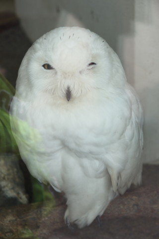 2015/5月 SIGMA17-70+7D2 焦点距離70mm F/5 ss1/160 ISO100