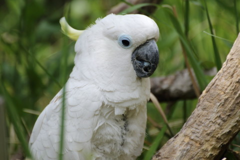 2015/5月 TAMRONsp70-300+7D2 焦点距離300mm F/7.1 ss1/400 ISO160