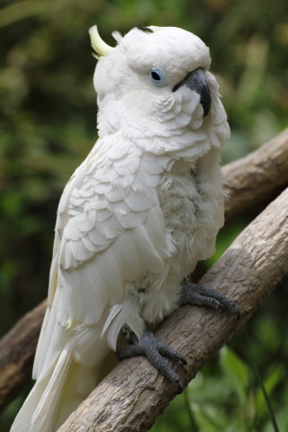 2015/5月 TAMRONsp70-300+7D2 焦点距離300mm F/7.1 ss1/400 ISO100