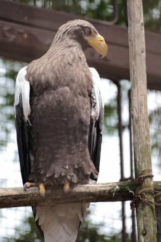 2015/5月 TAMRONsp70-300+7D2 焦点距離175mm F/5 ss1/250 ISO125