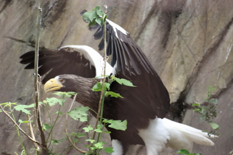 2015/5月 TAMRONsp70-300+7D2 焦点距離175mm F/5 ss1/320 ISO500