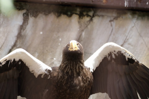 2015/5月 TAMRONsp70-300+7D2 焦点距離135mm F/4.5 ss1/200 ISO160