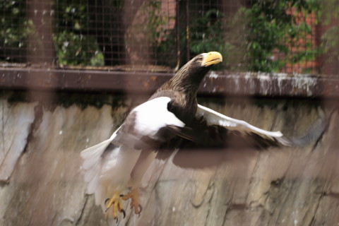 2015/5月 TAMRONsp70-300+7D2 焦点距離84mm F/5 ss1/200 ISO100