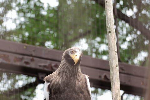 2015/5月 TAMRONsp70-300+7D2 焦点距離147mm F/4.5 ss1/200 ISO160