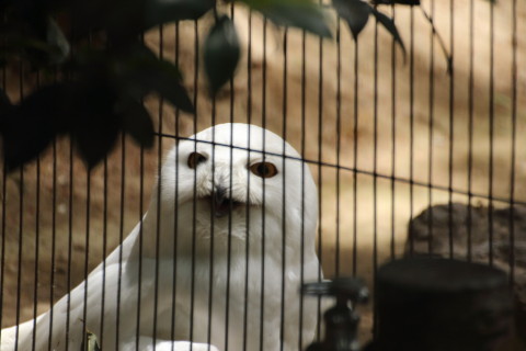 2015/5月 TAMRONsp70-300+7D2 焦点距離249mm F/5.6 ss1/320 ISO800