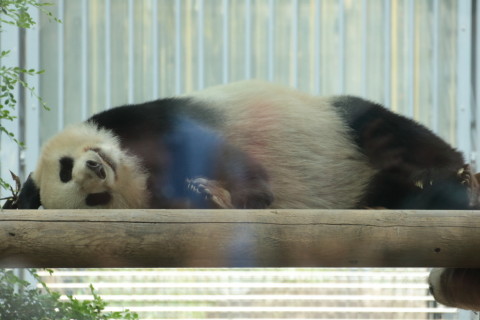 2015/5月 TAMRONsp70-300+7D2 焦点距離200mm F/5 ss1/200 ISO800