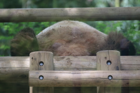 2015/5月 TAMRONsp70-300+7D2 焦点距離200mm F/5.6 ss1/320 ISO800