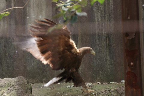 2015/5月 TAMRONsp70-300+7D2 焦点距離100mm F/4 ss1/160 ISO250