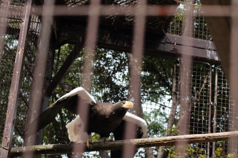 2015/5月 TAMRONsp70-300+7D2 焦点距離70mm F/5 ss1/200 ISO100