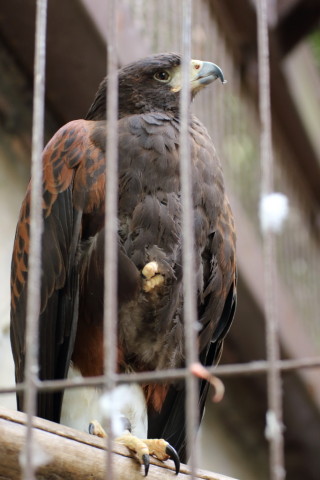 2015/5月 TAMRONsp70-300+7D2 焦点距離70mm F/4 ss1/100 ISO800