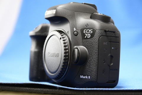 2015/4月 SIGMA17-70+30D 焦点距離53mm F/4 ss1/20 ISO800