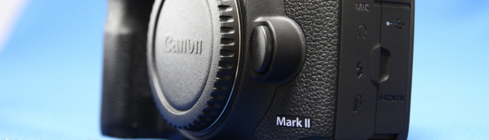 にわかカメラマンの撮ってみた!!（N'sHOME別館）