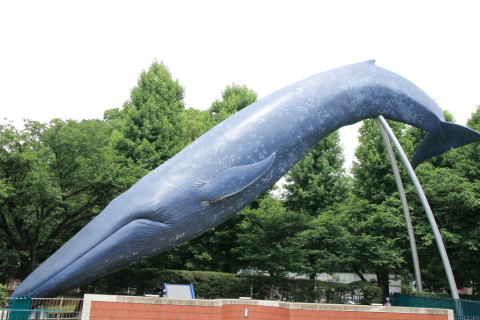 2015/6月 SIGMA17-70+7D2 焦点距離23mm F/7.1 ss1/160 ISO100