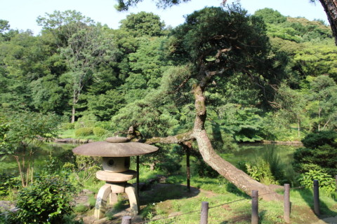 2015/7月 SIGMA17-70+7D2 焦点距離17mm F/5.6 ss1/125 ISO100