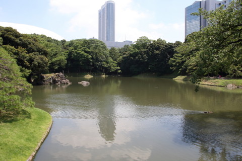 2015/7月 SIGMA17-70+7D2 焦点距離17mm F/8 ss1/250 ISO200 