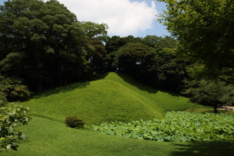2015/7月 SIGMA17-70+7D2 焦点距離17mm F/6.3 ss1/400 ISO100