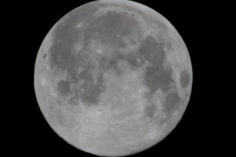 トリミング 2015/8月 TAMRONsp70-300+7D2 焦点距離300mm F/8 ss1/200 ISO100