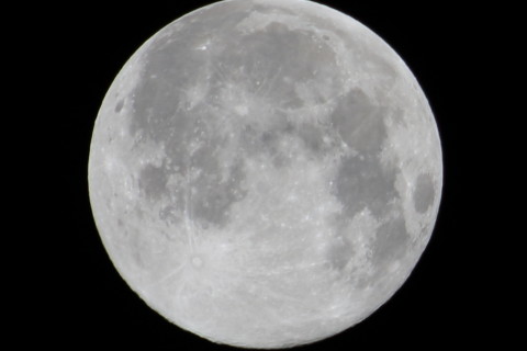 トリミング 2015/8月 TAMRONsp70-300+7D2 焦点距離300mm F/7.1 ss1/200 ISO100