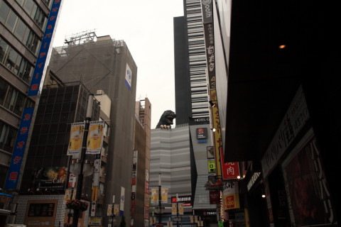 2015/9月 SIGMA17-70+30D 焦点距離17mm F/5.6 ss1/200 ISO100