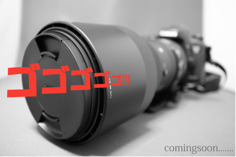 2016/2月 SIGMA17-70+30D 画像編集大