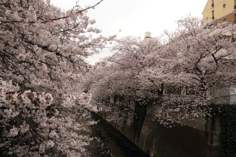 2016/4月 SIGMA17-70+7D2 焦点距離17mm F5.6 ss1/160 ISO100