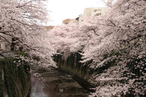 2016/4月 SIGMA17-70+7D2 焦点距離25mm F3.2 ss1/320 ISO100