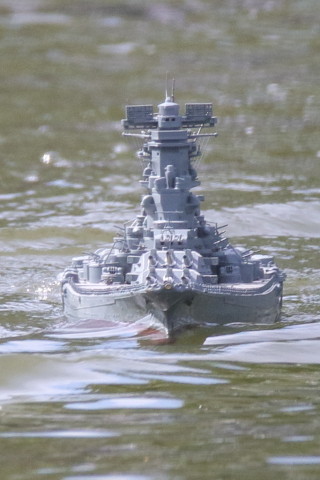 トリミング 2016/6月 SIGMA150-600C+7D2 焦点距離484mm F8 ss1/640 ISO800 Case3