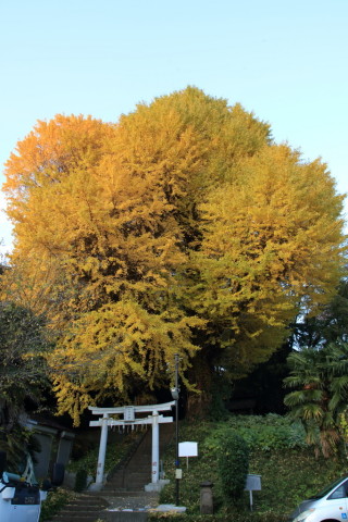 2016/11月 SIGMA17-70+7D2 焦点距離17mm F5.6 ss1/25 ISO100