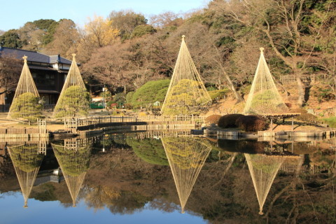 2016/11月 SIGMA17-70+7D2 焦点距離31mm F5.6 ss1/125 ISO100