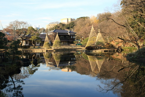 2016/11月 SIGMA17-70+7D2 焦点距離25mm F5.6 ss1/125 ISO100