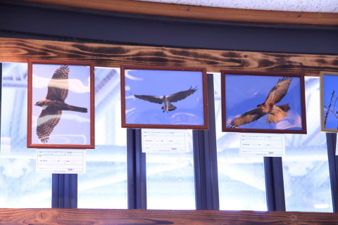 2017/1月 SIGMA17-70+7D2 焦点距離70mm F4 ss1/60 ISO800