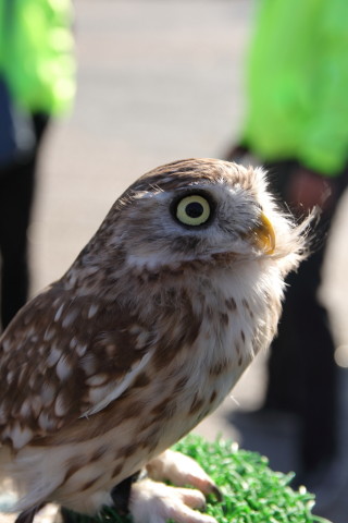 2017/2月 SIGMA17-70+7D2 焦点距離49mm F5.6 ss1/200 ISO100