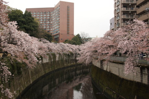 2017/4月 SIGMA17-70+7D2 焦点距離23mm F4.5 ss1/320 ISO100