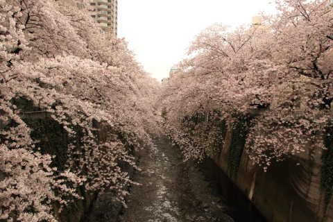 2017/4月 SIGMA17-70+7D2 焦点距離17mm F5.6 ss1/160 ISO100