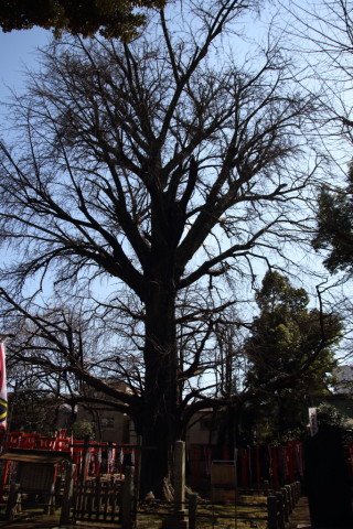 2017/3月 SIGMA17-70+7D2 焦点距離17mm F4 ss1/800 ISO100
