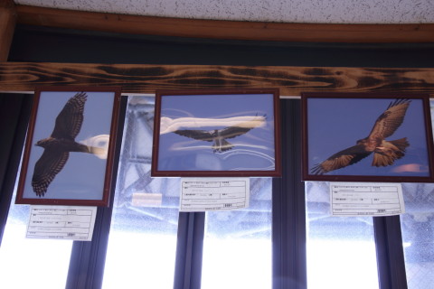 2017/9月 SIGMA17-70+7D2 焦点距離25mm F4 ss1/50 ISO400