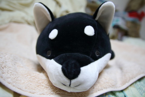 2017/9月 SIGMA17-70+7D2 焦点距離17mm F2.8 ss1/80 ISO800