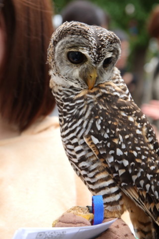 2017/9月 SIGMA17-70+7D2 焦点距離63mm F5.6 ss1/25 ISO100