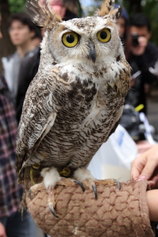 2017/9月 SIGMA17-70+7D2 焦点距離41mm F5.6 ss1/40 ISO100