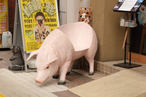 2017/9月 SIGMA17-70+7D2 焦点距離70mm F5.6 ss1/160 ISO100